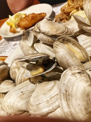 Lenny's Indian Head Inn by null