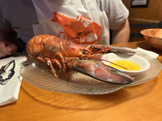 Kelly's Landing New England Seafood by null