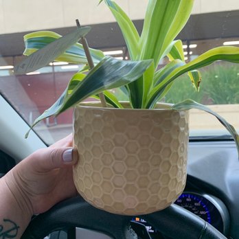 Trader Joe's - Heading home with this cutie! - Grocery Near Me - Fair Oaks, California