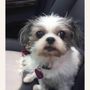 Photo of Ader Patricia Dr