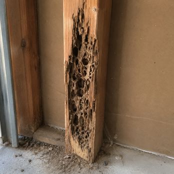 Termite Troopers - Damaged Wood in garage. - Pest Control Near Me - Colton, California Termite Troopers - Damaged Wood in garage. - Pest Control Near Me - Colton, California