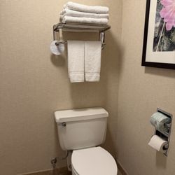 Delta Hotels Helena Colonial - Bathroom in our suite