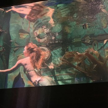 Dive Bar - Mermaid swimming in the bar - Dive Bars Near Me - Sacramento, California