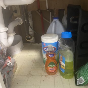 Sand 'N Sea Properties - No back wall under sink, allowing rodents to come in easily. - Property Management Near Me - Galveston, Texas