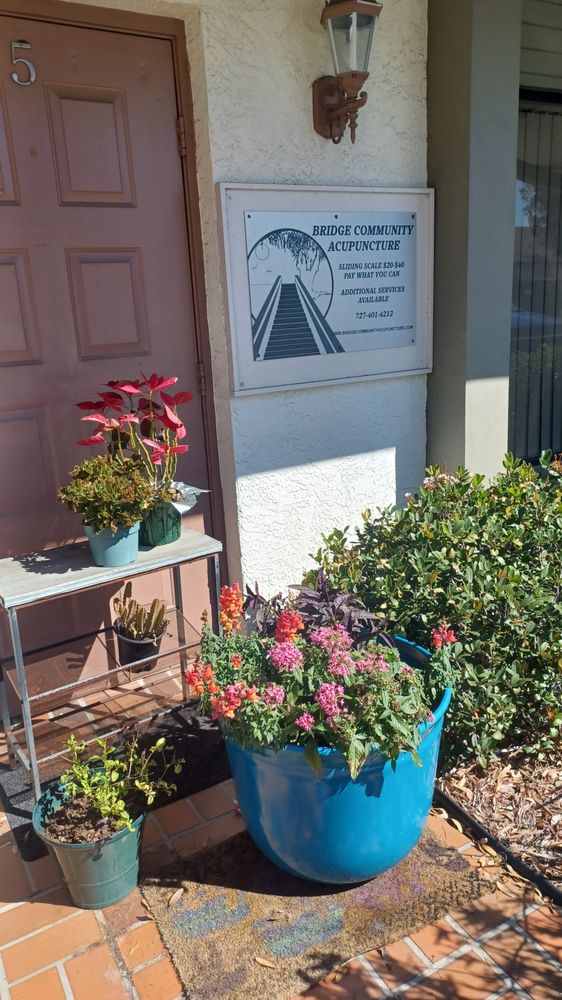 Bridge Community Acupuncture - grief counselor in Largo, FL