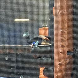 Sky Zone Trampoline Park - No employee supervision.  Children wrestle and shove each other from equipment.