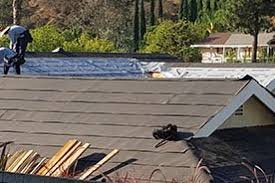 Slide of Silvestre Roofing