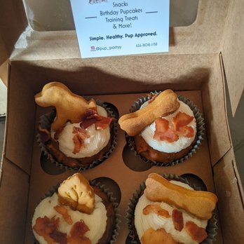 Jay's Muffins - Pupcakes for my fur babies - Desserts Near Me Jay's Muffins - Pupcakes for my fur babies - Desserts Near Me