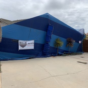 Premium Termite & Pest Control - Whole home Drywood Termite fumigation.. - Pest Control Near Me Premium Termite & Pest Control - Whole home Drywood Termite fumigation.. - Pest Control Near Me