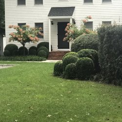 Carlos Landscaping - Recently work done