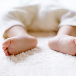 EcoCarpet Cleaning Service