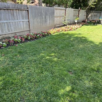 Eric Blunt Landscape - a backyard with a fence and flowers - Landscaping Near Me - Madera, California Eric Blunt Landscape - a backyard with a fence and flowers - Landscaping Near Me - Madera, California