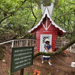 Enchanted Forest