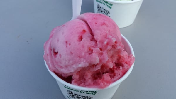 White Farms Ice Cream by null