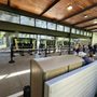 Photo of Northwest Trek Wildlife Park