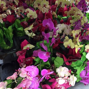 Costco Wholesale - Nice orchids. - Wholesale Stores Near Me - Boca Raton, Florida