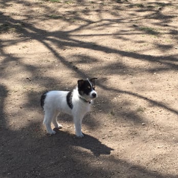 Arcadia's Dog Park - Dog Parks Near Me - Arcadia, California Arcadia's Dog Park - Dog Parks Near Me - Arcadia, California
