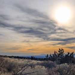 Cibola National Forest