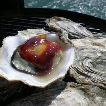 Tomales Bay Oyster Company - Bbq sauced oysters - Seafood Markets Near Me - Marshall, California Tomales Bay Oyster Company - Bbq sauced oysters - Seafood Markets Near Me - Marshall, California