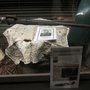 Photo of For freedom museum