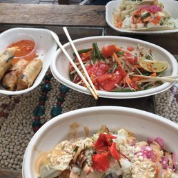 Delicious spring rolls, papaya salad, momos and tacos! Delicious spring rolls, papaya salad, momos and tacos!