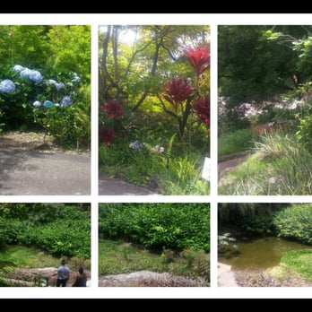 Kula Botanical Gardens - Parks Near Me - Kula, Hawaii