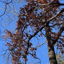 Emily Oaks Nature Center