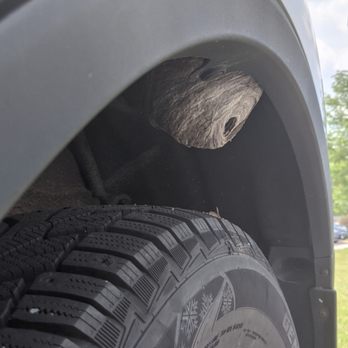 Old School Pest Control - Yellowjacket nesting wheel well of a car - Pest Control Near Me - Glenns Falls, New York