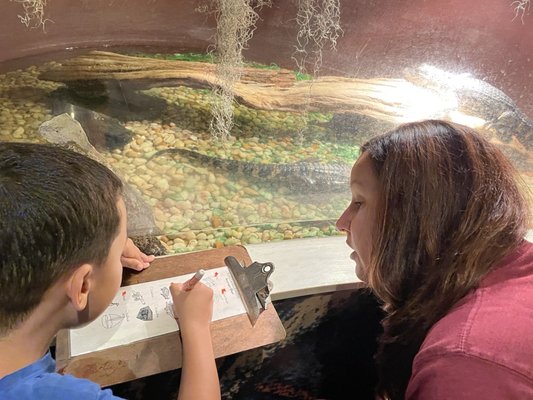 North Carolina Estuarium by null