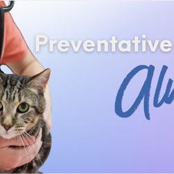 Companions Animal Hospital