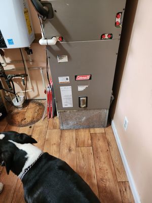 DC Superior Services Logo