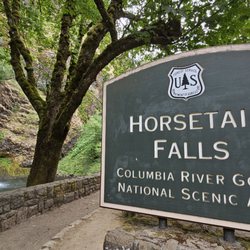 Gray Line of Portland - Pink Trolley Sightseeing - Horsetail Falls