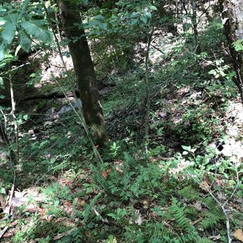 Kanawha State Forest - Parks Near Me - Charleston, West Virginia