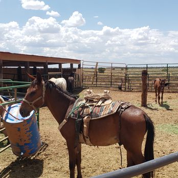 Red Rock Horse Ranch - Visitor Centers Near Me - Williams, Arizona