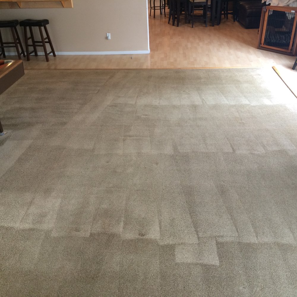 Greg's Carpet Cleaning & Upholstery - Carpet Cleaning Near Me - Placentia, California Greg's Carpet Cleaning & Upholstery - Carpet Cleaning Near Me - Placentia, California