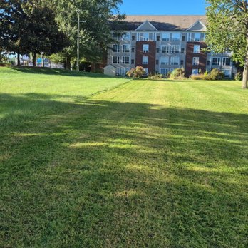 Landscape Therapy - In the process of mowing the turf, the left hasn't been mowed but the right side has! - Lawn Services Near Me - Henrico, Virginia Landscape Therapy - In the process of mowing the turf, the left hasn't been mowed but the right side has! - Lawn Services Near Me - Henrico, Virginia