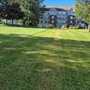 Landscape Therapy