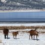 Photo of Washoe Lake State Park