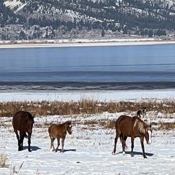 Washoe Lake State Park