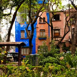 David Lida Tours - La Condesa and La Roma