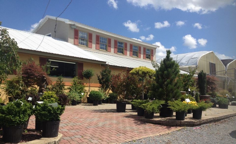 LOVELL’S NURSERY Updated August 2024 19777 Leitersburg Pike