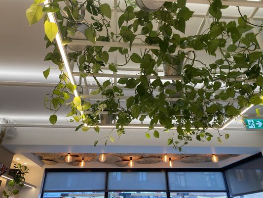 Ketiw Comptoir Cambodgien by null