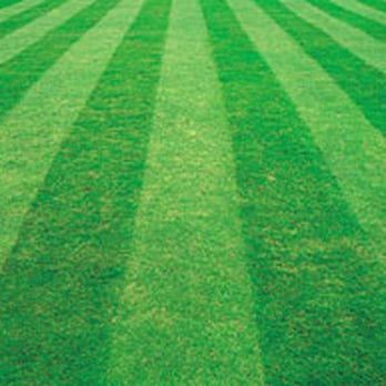 G & A Maintenance - Gardeners Near Me G & A Maintenance - Gardeners Near Me