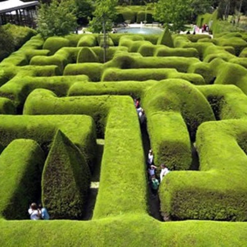 Ashcombe Maze & Lavender Gardens - Food Near Me - Shoreham, VIC
