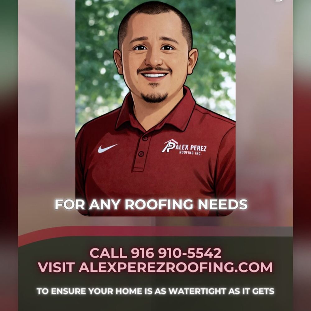 TOP 10 BEST Roof Leak Repair in Davis, CA - Updated 2026 - Yelp