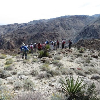 Fortynine Palms Oasis - Hiking Near Me - Twentynine Palms, California