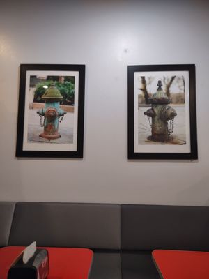 DC Vegetarian by null