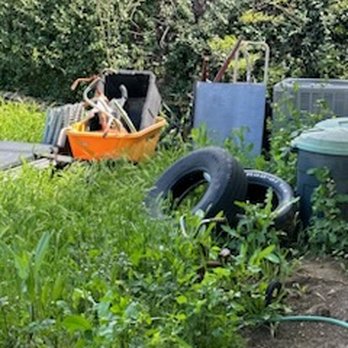 Ace Junk and Demo - Junk Removal & Hauling Near Me