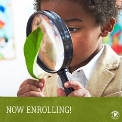 Primrose School of Chapel Hill East - Preschool & PreK