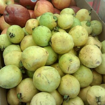 France Donut - guava from the owner's sister in law's yard! - Donuts Near Me - Canoga Park, California France Donut - guava from the owner's sister in law's yard! - Donuts Near Me - Canoga Park, California